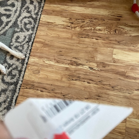 yellow swimsuit size women’s XL so sexy & cute NWT - Picture 11 of 15